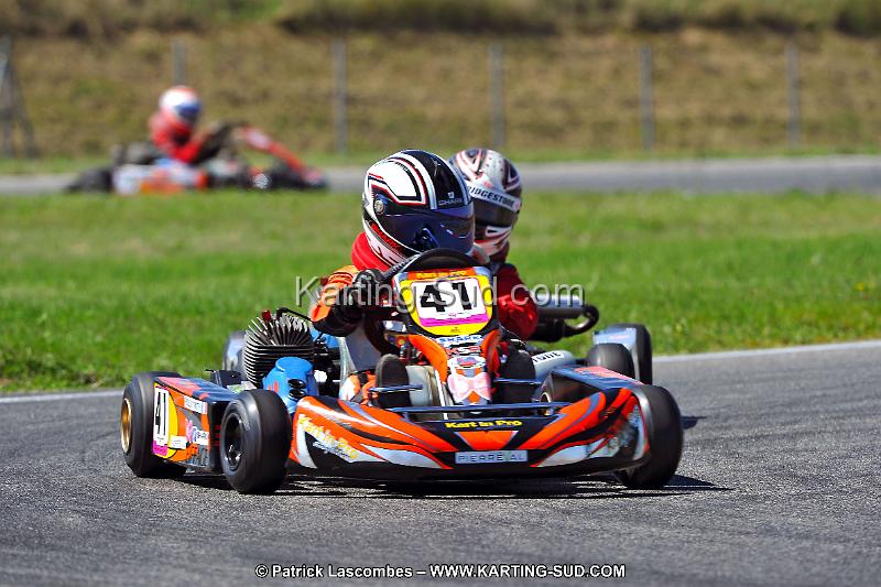 DSC_ (1535).jpg
